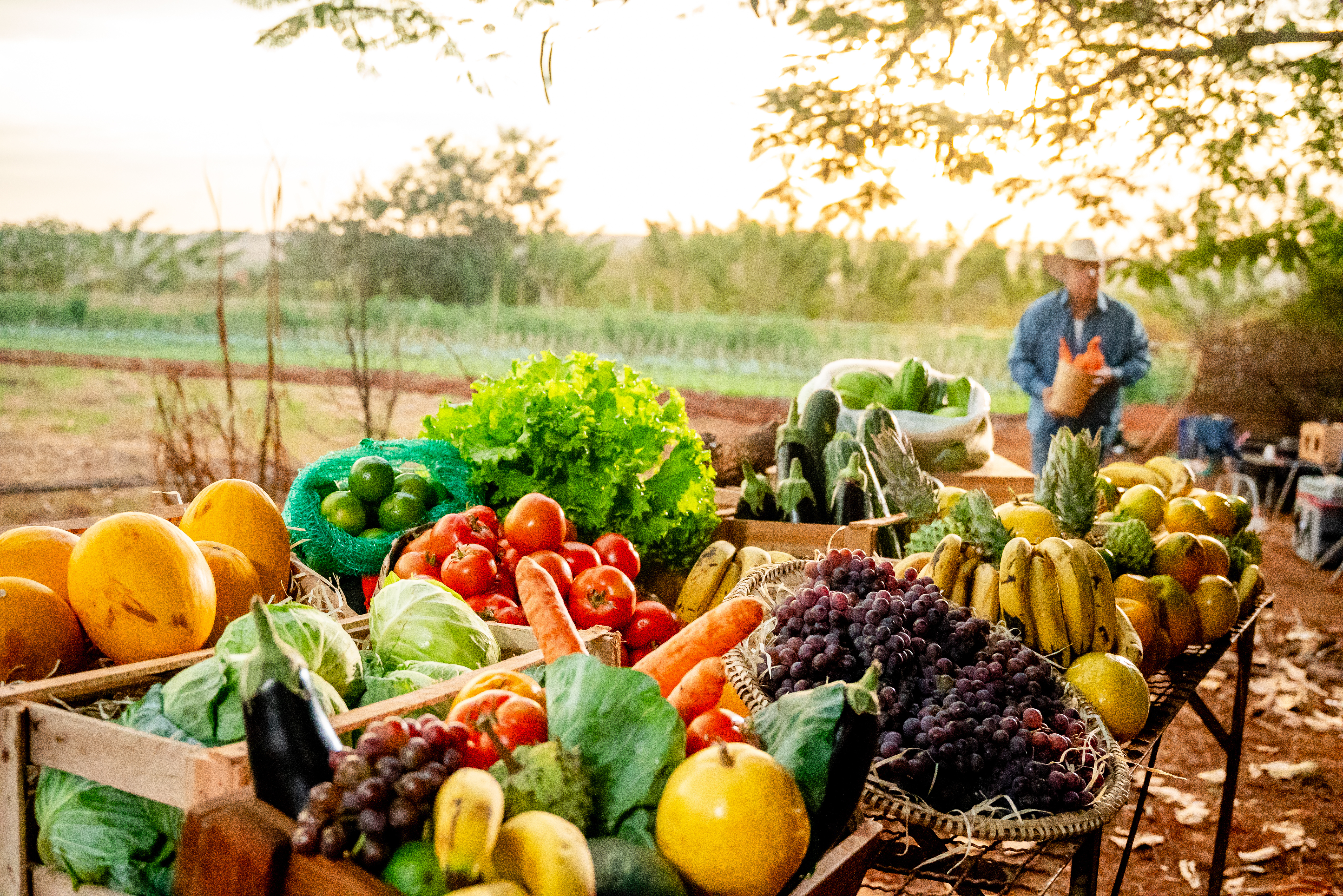 Crates of fruit and vegetables on an outdoor market stall at sunset, with a farmer standing behind the display